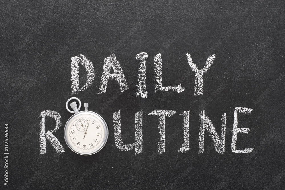 daily routine